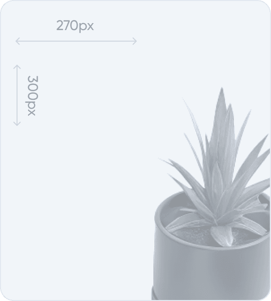 Кеди жіночі