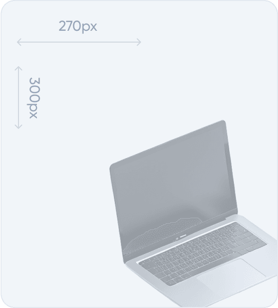 Ботфорти жіночі